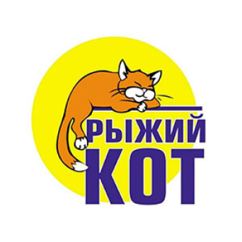 Рыжий кот