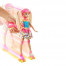 Տիկնիկ DTW17 չմուշկներով Barbie