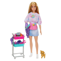Տիկնիկ "Վարսահարդարուհի", Barbie
