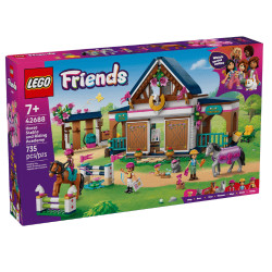 Կոնստրուկտոր "Ձիավարության դպրոց", Friends Lego	