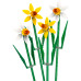 Կոնստրուկտոր "Նարգիզներ" Flowers Lego