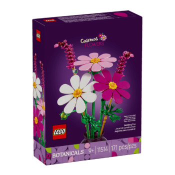 Կոնստրուկտոր "Կոսմեա" LEGO