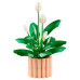 Կոնստրուկտոր "Սպատիֆիլիում", Botanicals Lego