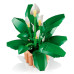 Կոնստրուկտոր "Սպատիֆիլիում", Botanicals Lego