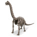 Խաղային հավաքածու պեղումներ "Brachiosaurus" 4M