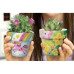 Ստեղծագործական հավաքածու "Terracotta Flower Pots" KidzMaker  4M