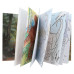 Նոթատետր "Colouring Book" Dino World