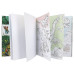 Նոթատետր "Colouring Book" Dino World