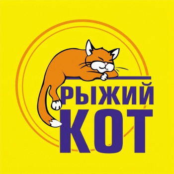 Рыжий кот